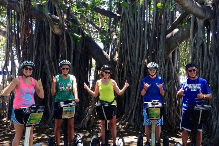 Beautiful Banyan Trees in Ala Moana Beach Park